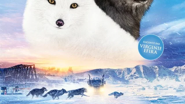 Affiche du film : Kina & Yuk : renards de la banquise