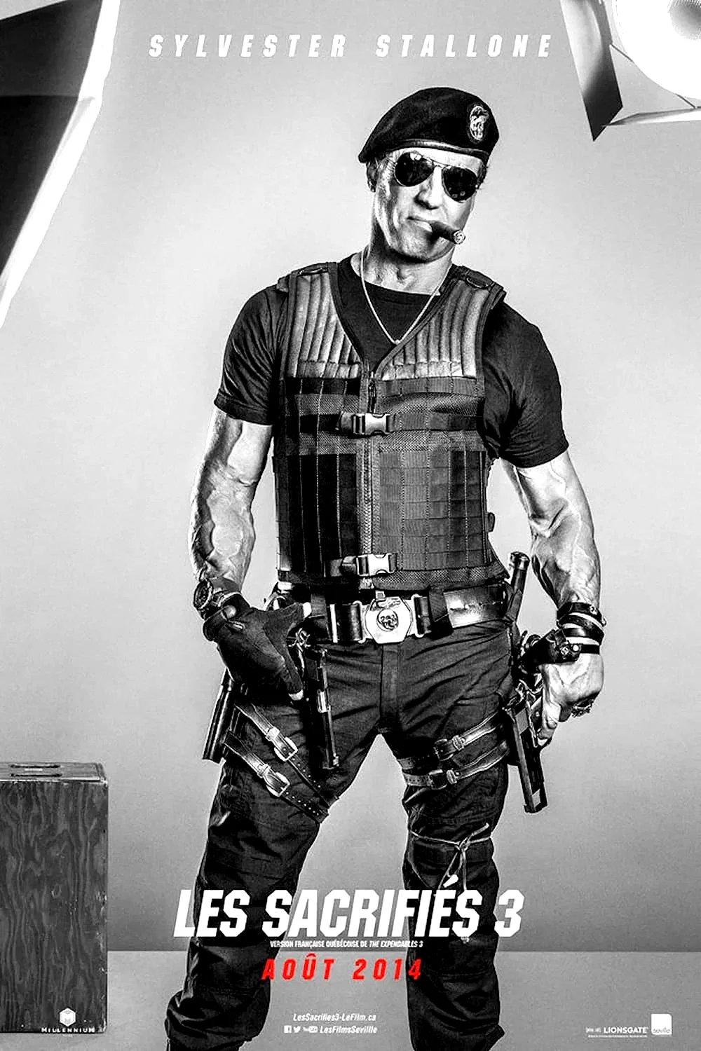 Photo 6 du film : Expendables 3