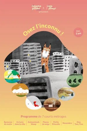 Affiche du film : Osez l’inconnu !