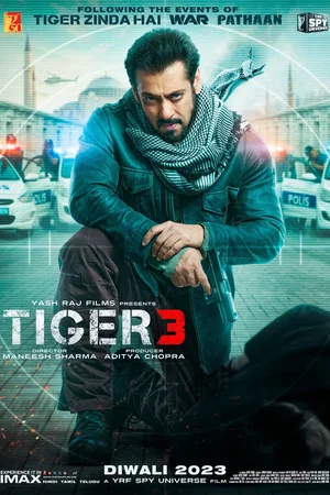 Affiche du film : Tiger 3