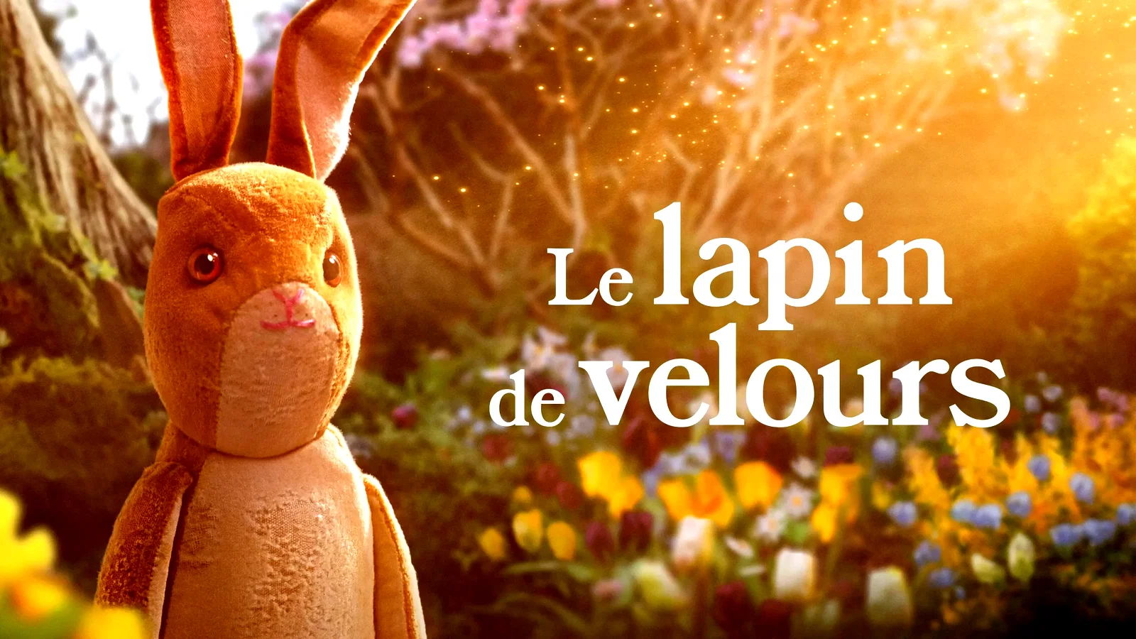 Photo du film : Le lapin de velours