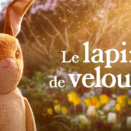 Miniature photo du film : Le lapin de velours