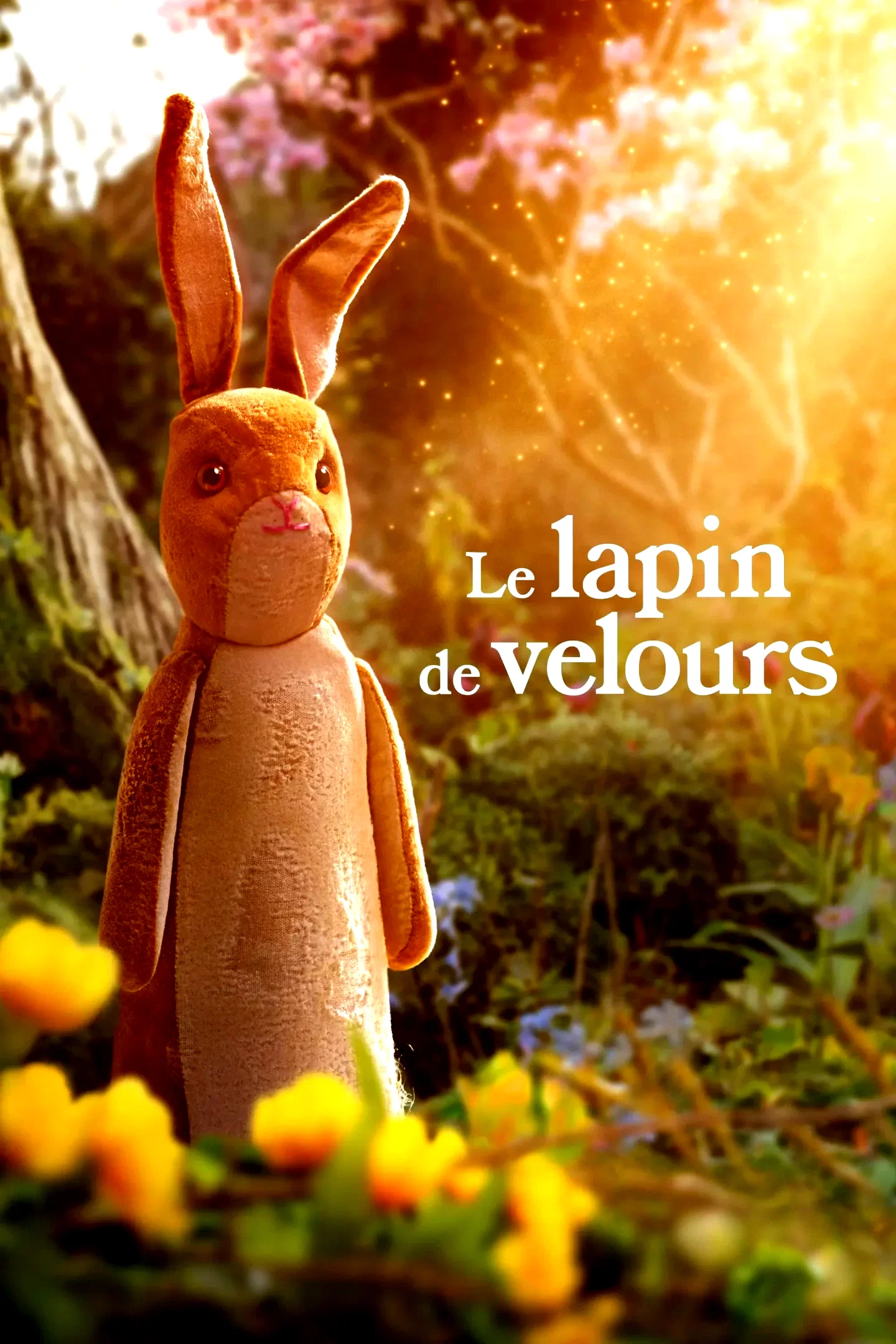 Affiche du film : Le lapin de velours