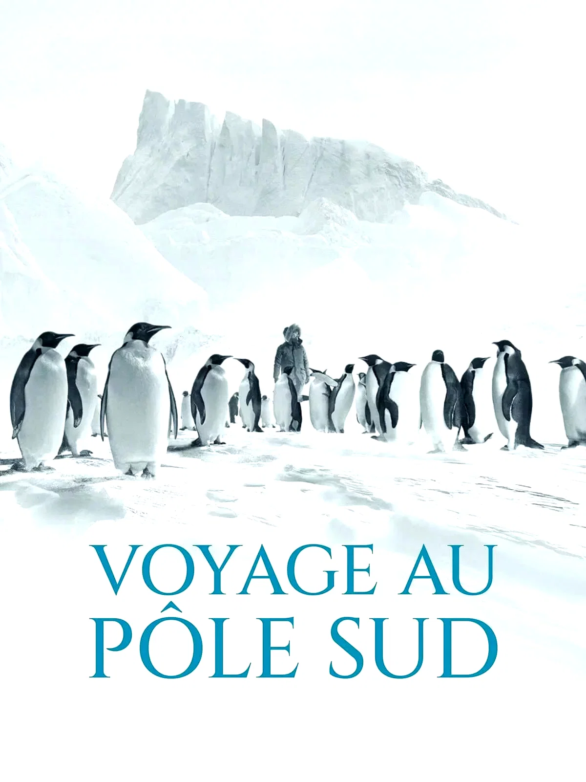 Photo 3 du film : Voyage au pôle sud