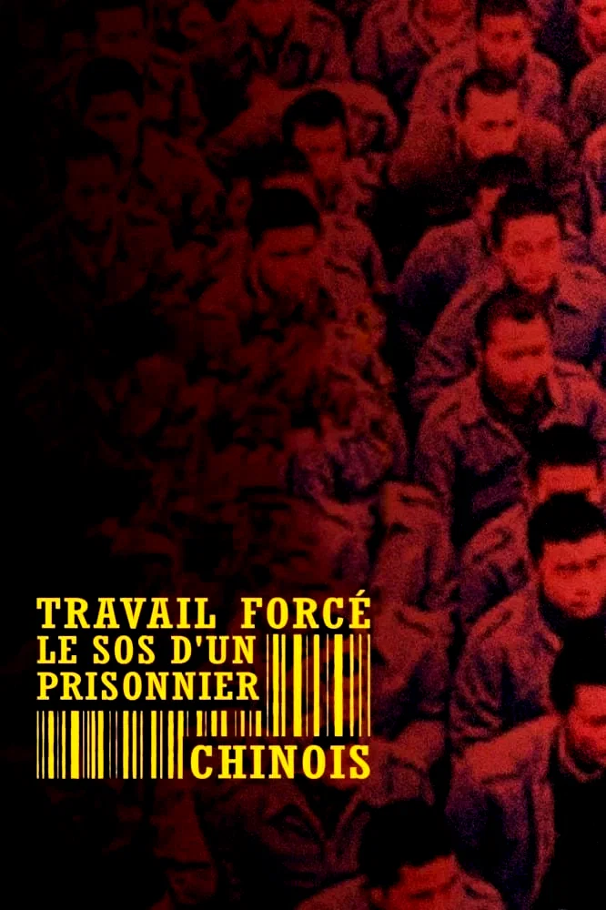 Affiche du film : Travail forcé, le SOS d'un prisonnier chinois