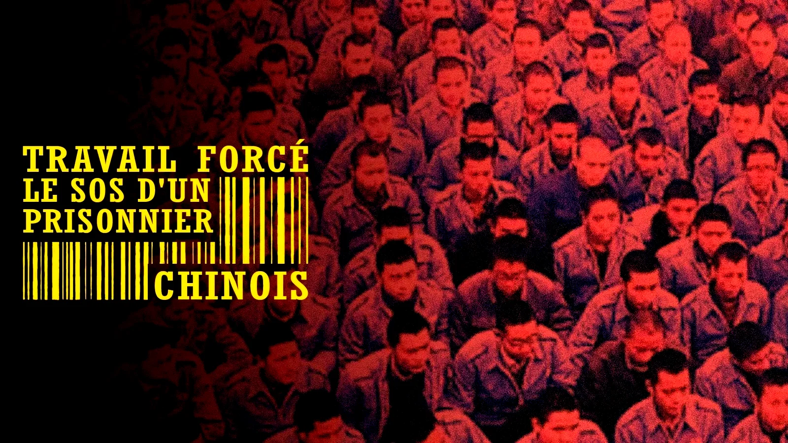 Photo du film : Travail forcé, le SOS d'un prisonnier chinois