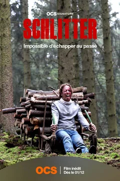 Affiche du film Schlitter