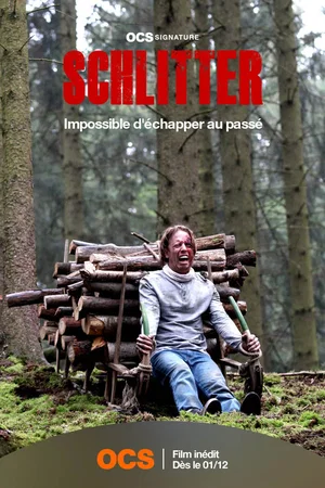 Affiche du film : Schlitter