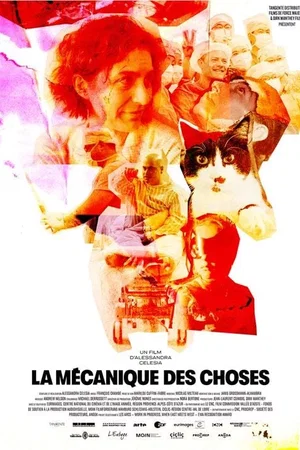 Affiche du film : La Mécanique des choses