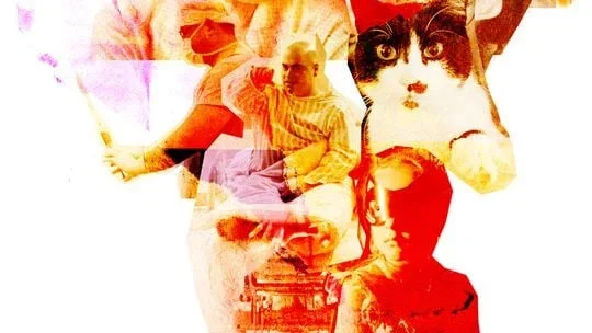 Affiche du film : La Mécanique des choses