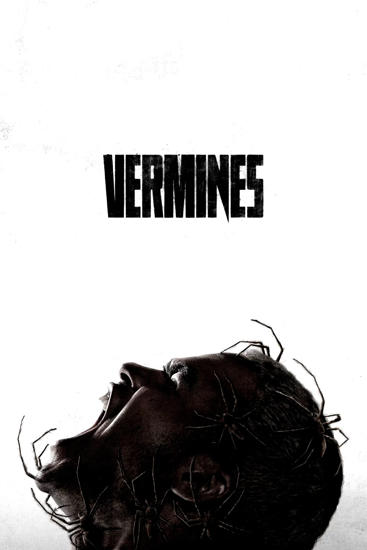 Photo 2 du film : Vermines