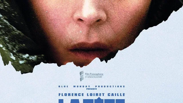 Affiche du film : La Tête froide