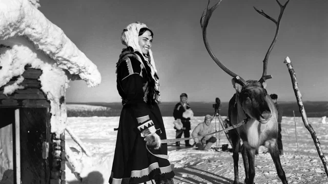 Photo 3 du film : Le renne blanc