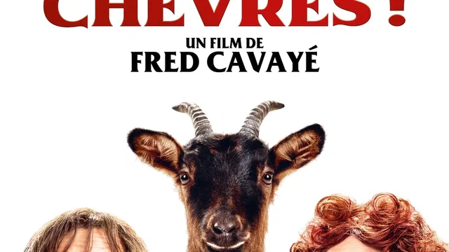 Affiche du film : Les Chèvres
