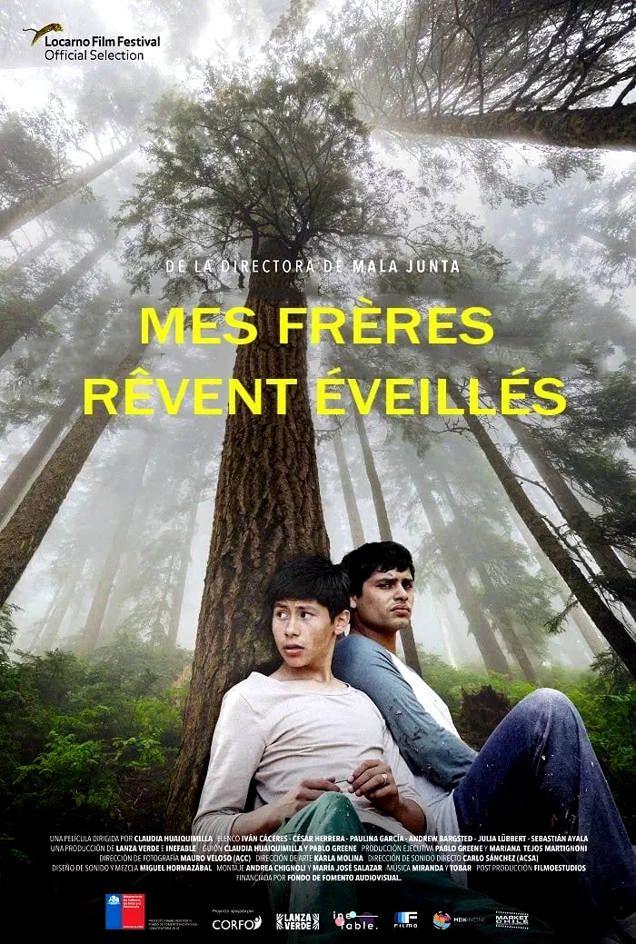 Photo 1 du film : Mis Hermanos