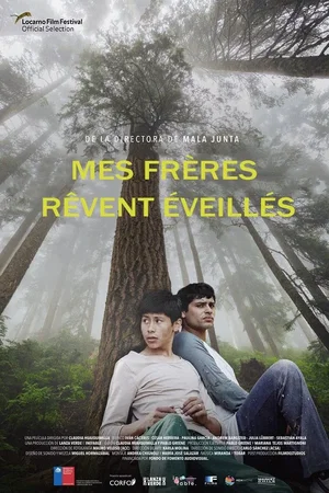 Photo du film : Mis Hermanos