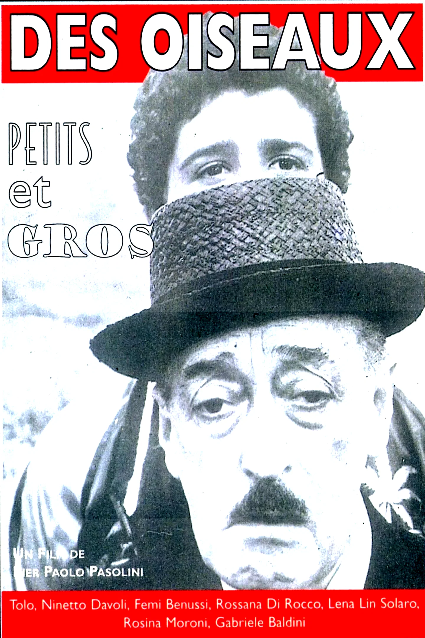 Affiche du film : Des oiseaux petits et grands