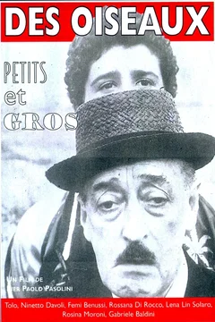 Affiche du film Des oiseaux petits et grands