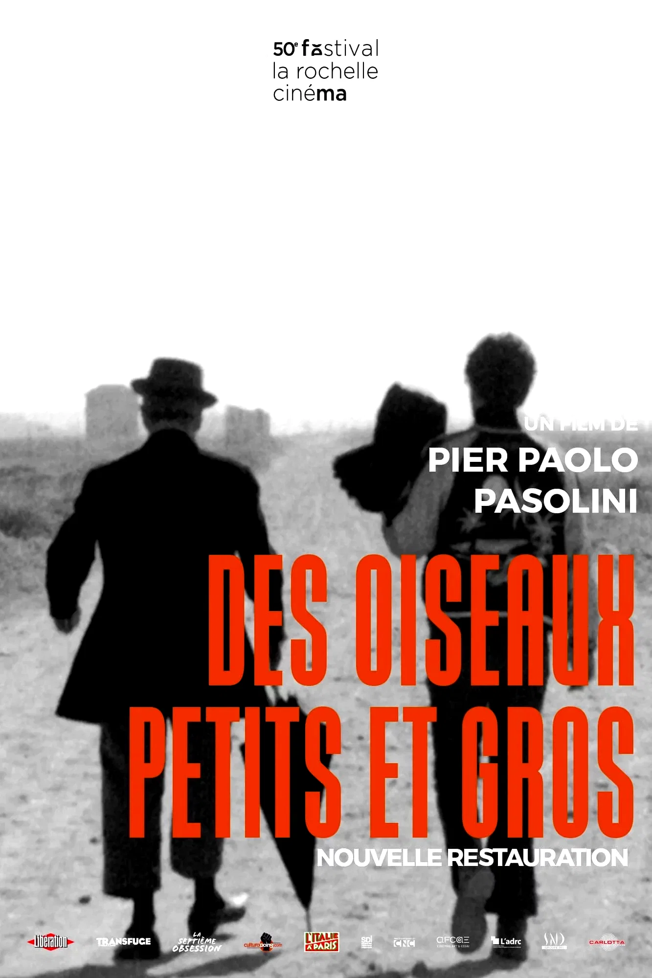 Photo 2 du film : Des oiseaux petits et grands
