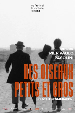Photo du film : Des oiseaux petits et grands