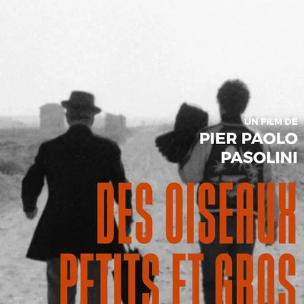 Miniature photo du film : Des oiseaux petits et grands
