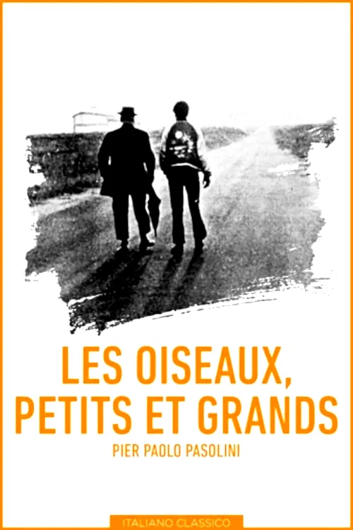 Photo 3 du film : Des oiseaux petits et grands