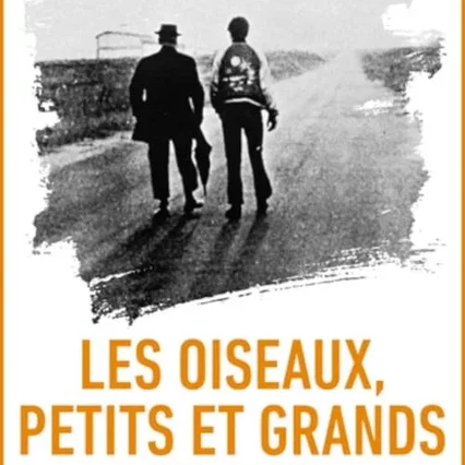 Miniature photo du film : Des oiseaux petits et grands
