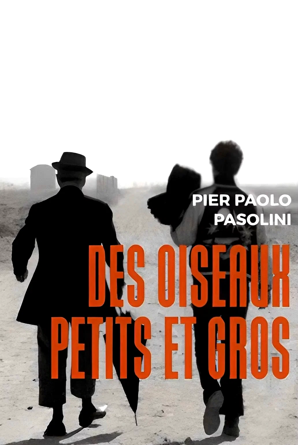 Photo 4 du film : Des oiseaux petits et grands
