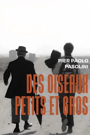 Photo du film : Des oiseaux petits et grands