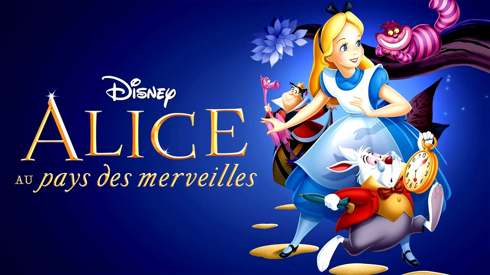 Photo du film : Alice au pays des merveilles