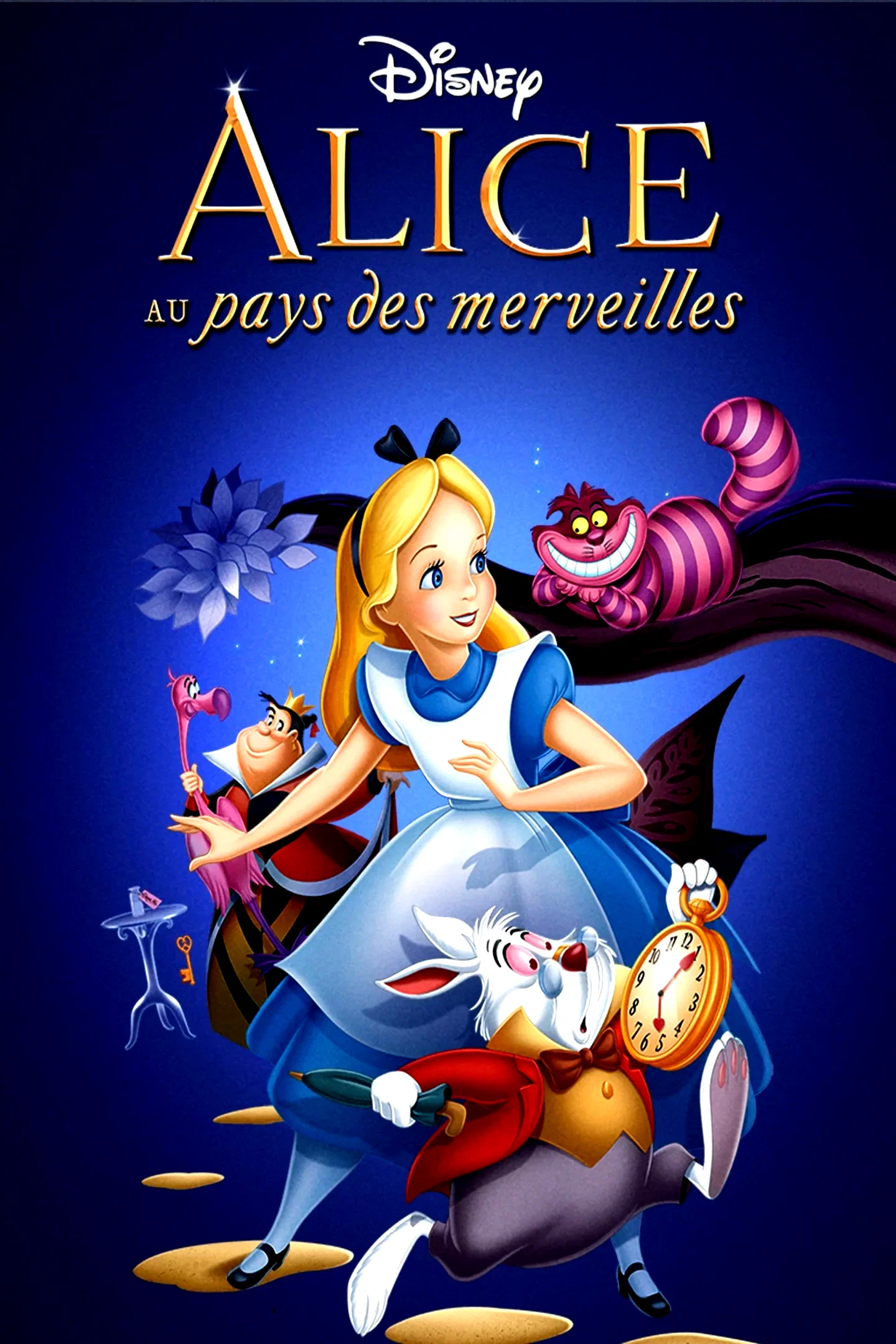 Affiche du film : Alice au pays des merveilles