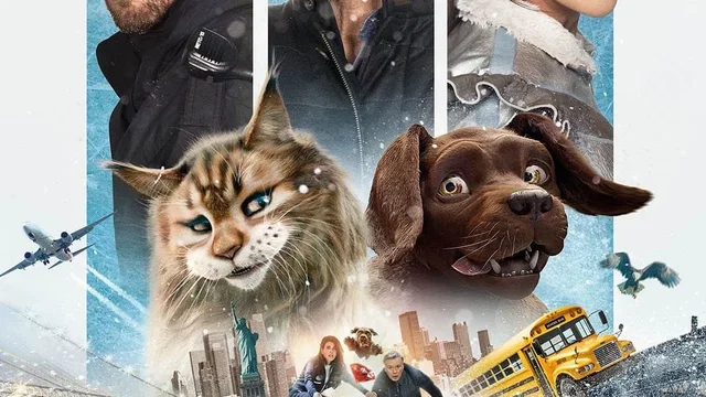Affiche du film : Chien et Chat