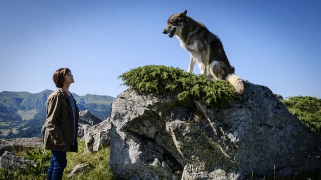 Photo du film : Mort d'un berger