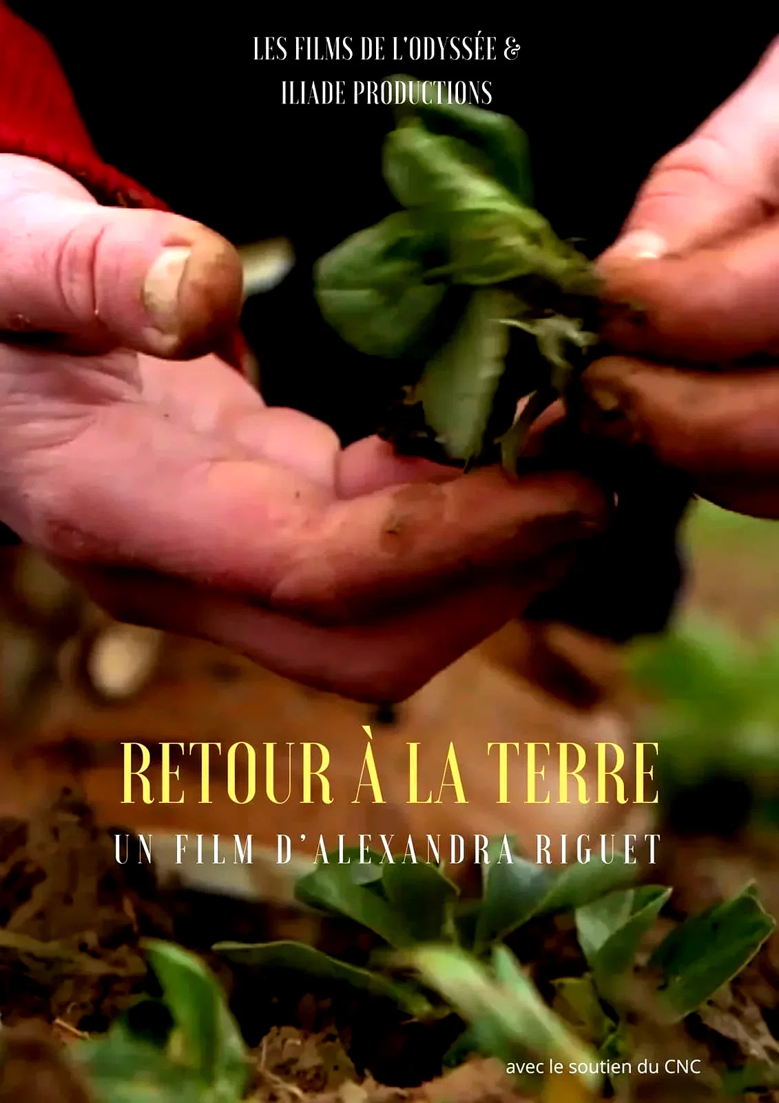 Affiche du film : Retour à la terre