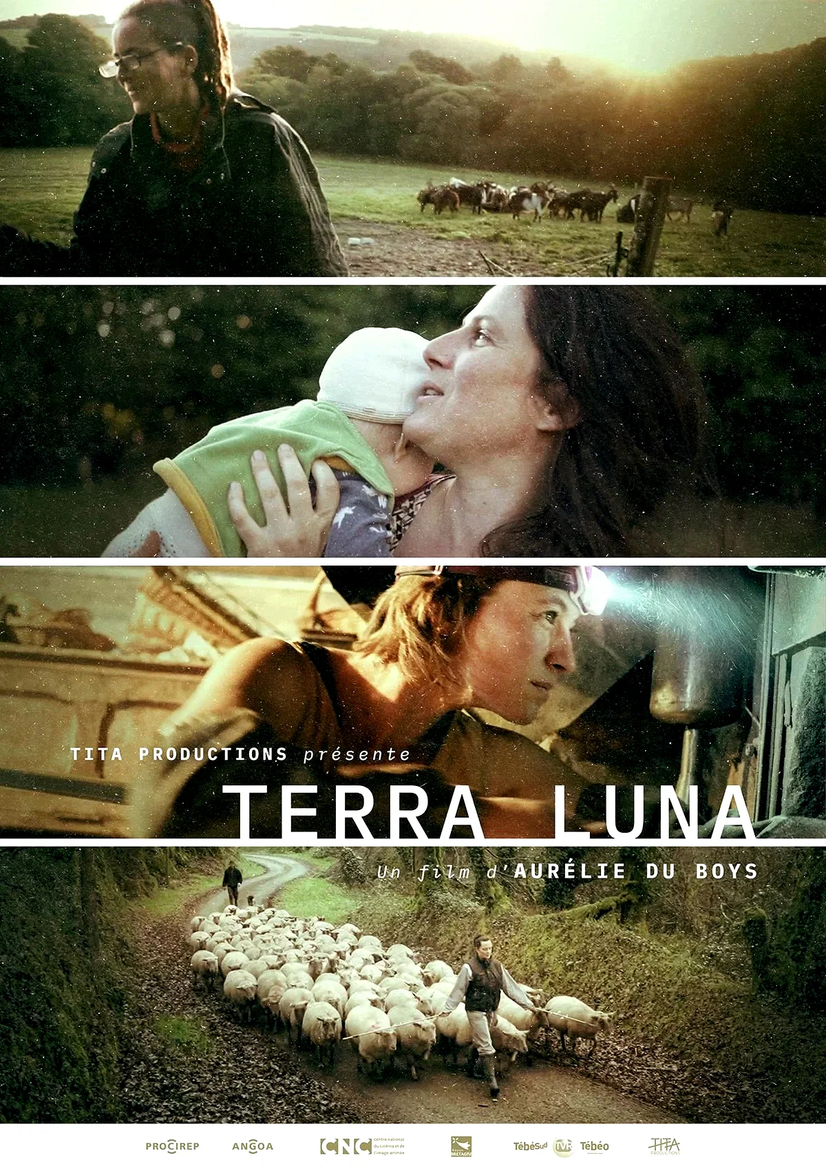 Affiche du film : Terra Luna