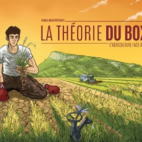 Photo du film : La Théorie du Boxeur