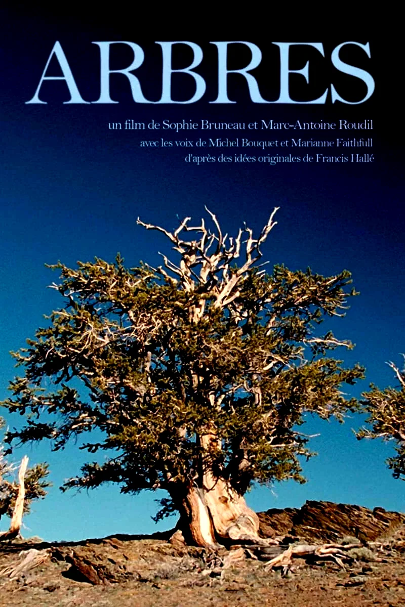 Affiche du film : Arbres