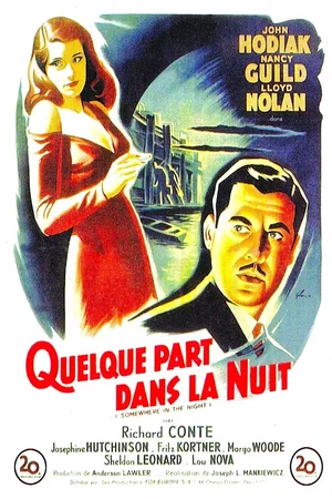 Affiche du film : Quelque part dans la nuit