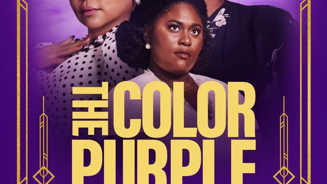Affiche du film : La Couleur Pourpre