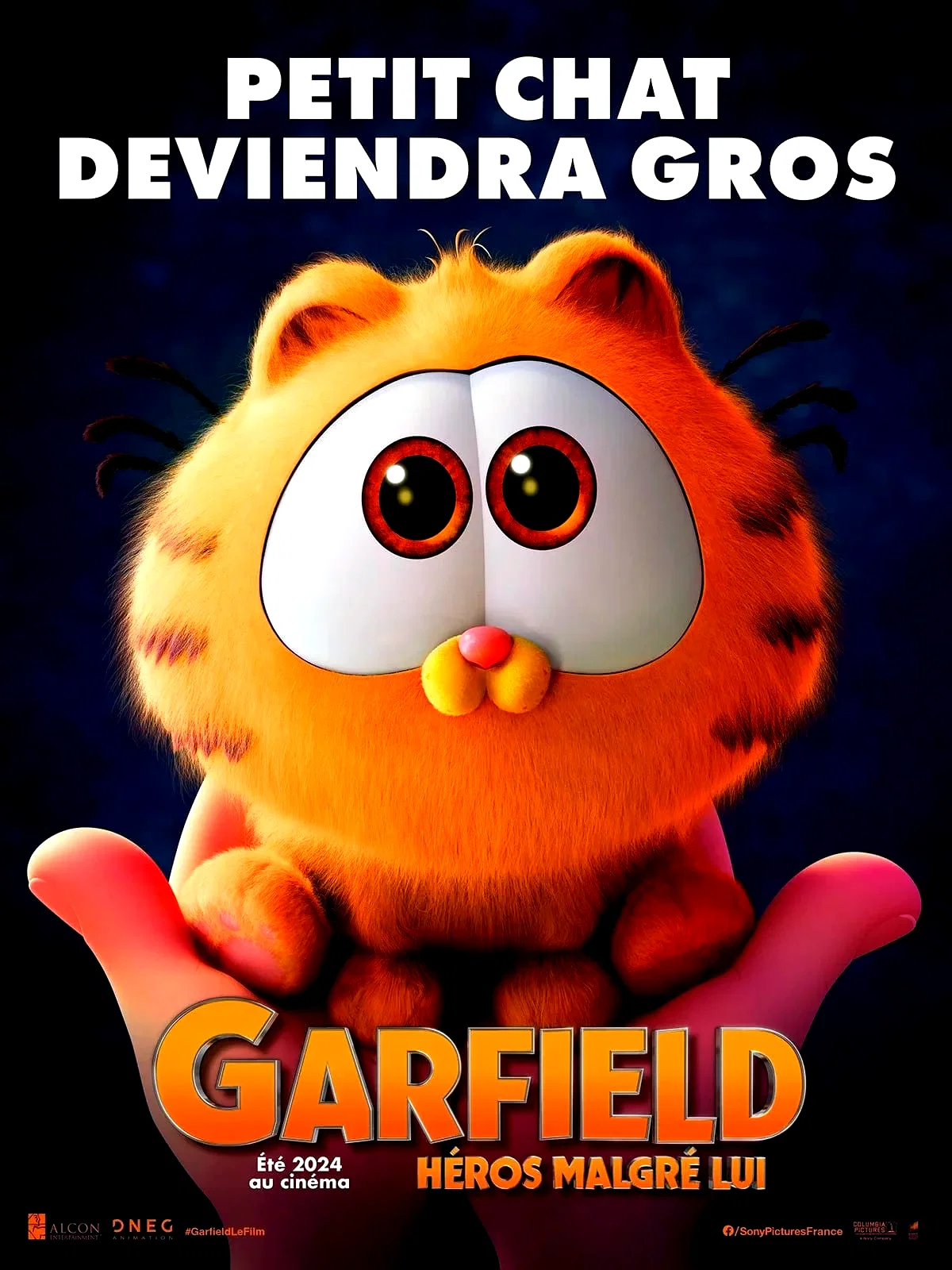 Photo 2 du film : Garfield : Héros malgré lui
