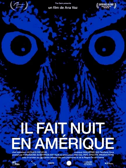 Affiche du film : Il fait nuit en Amérique