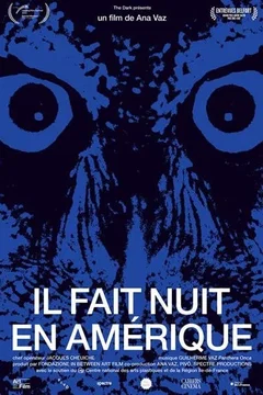 Affiche du film Il fait nuit en Amérique
