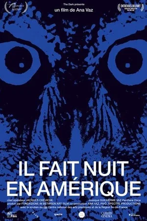 Affiche du film : Il fait nuit en Amérique