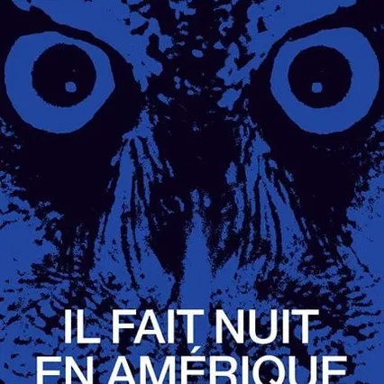 Miniature photo du film : Il fait nuit en Amérique