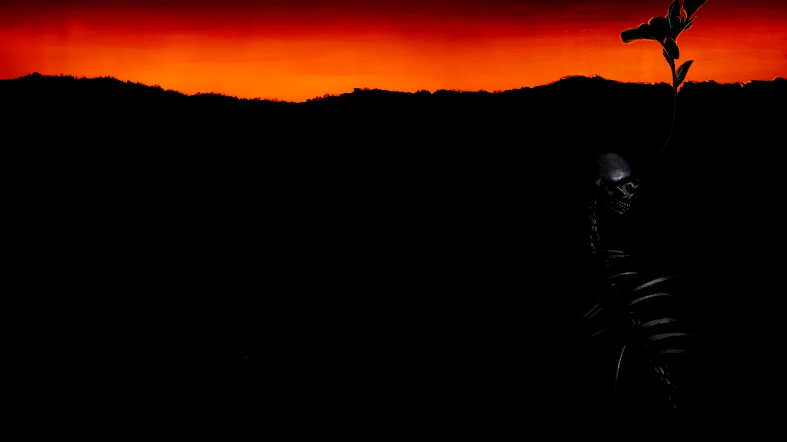 Photo 2 du film : The Seeding