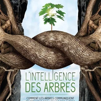 Miniature photo du film : L'Intelligence des arbres