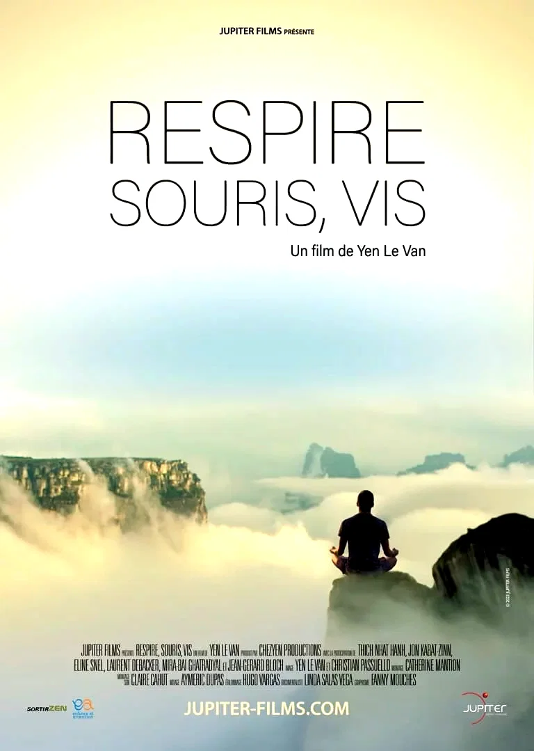 Affiche du film : Respire, Souris, vis