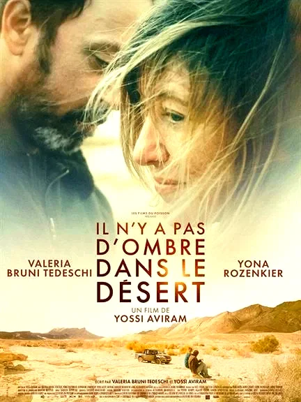 Affiche du film : Il n'y a pas d'ombre dans le désert