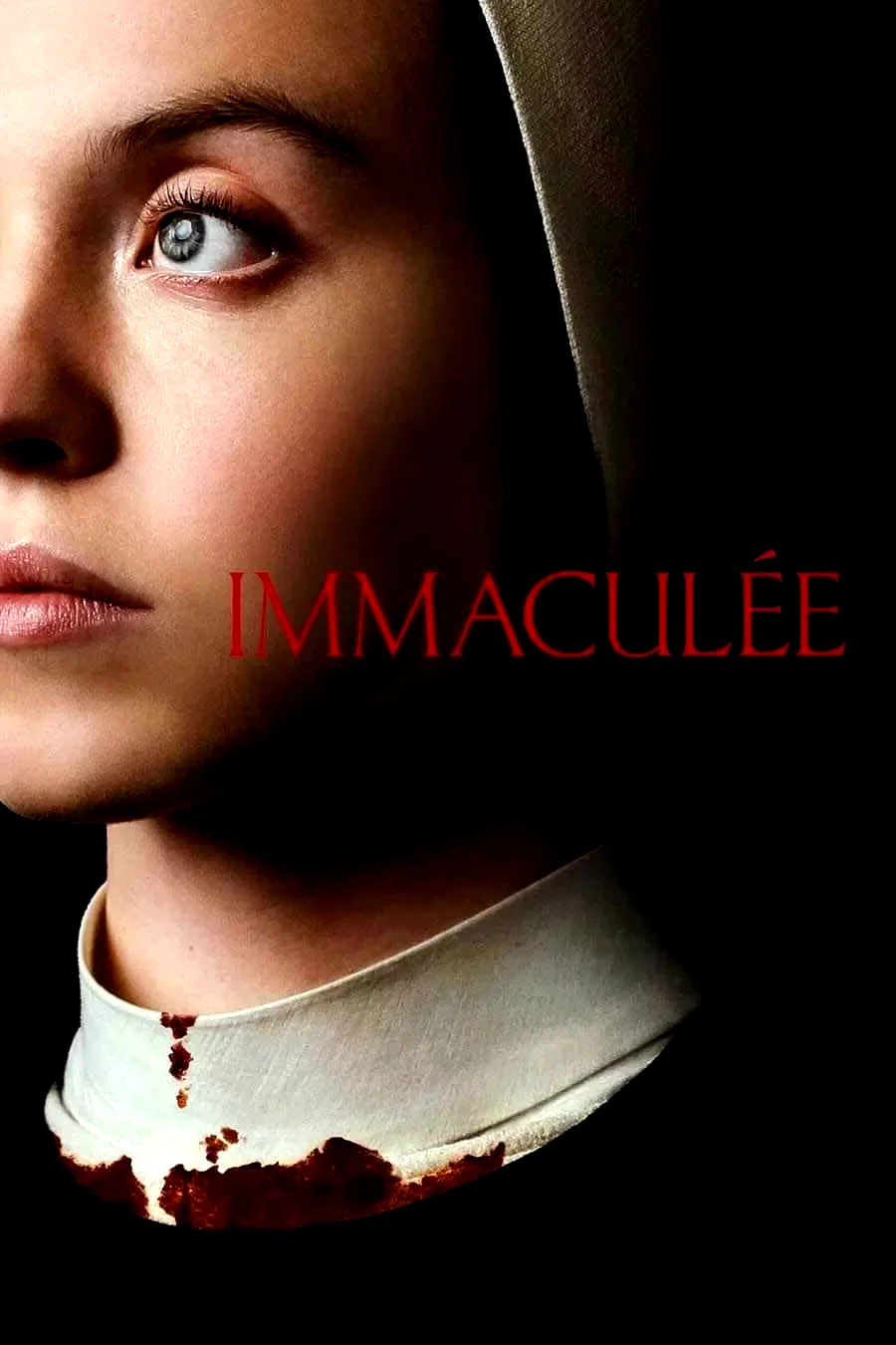 Photo 1 du film : Immaculée