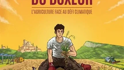 Affiche du film : La Théorie du Boxeur